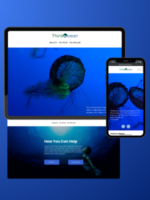 Aranyer Foundation Web Mockup